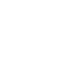 FIFA STD. FIELDS